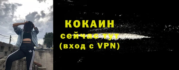 дживик Зеленокумск