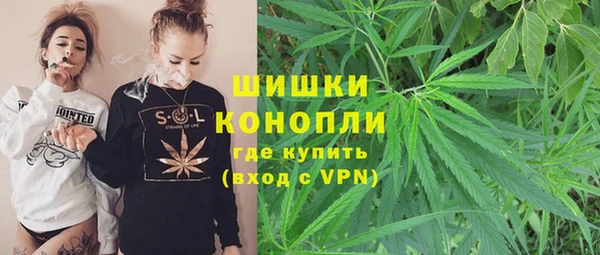 дживик Зеленокумск