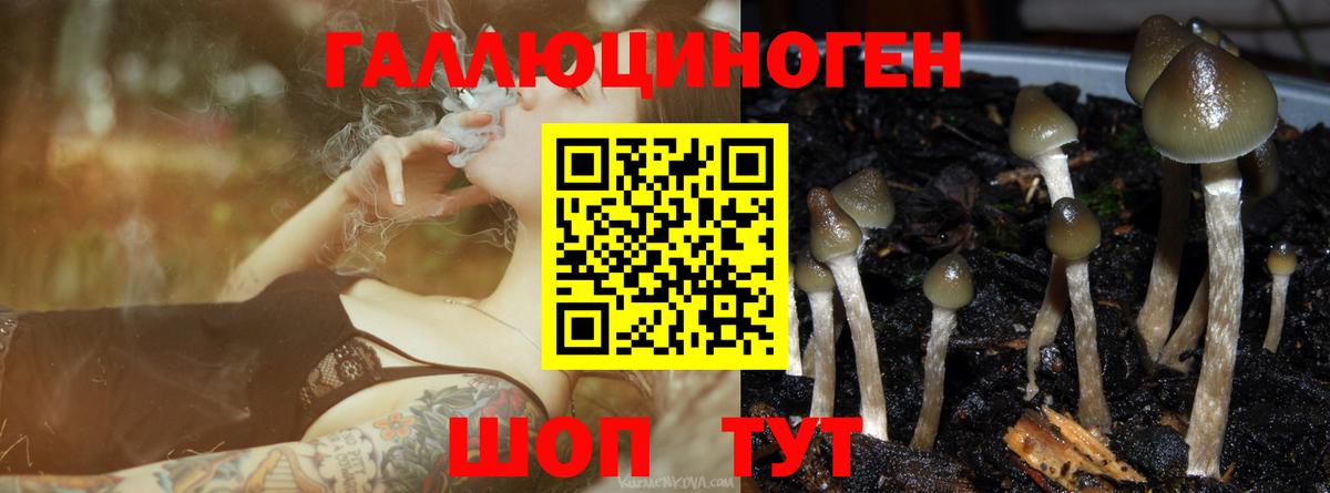 Псилоцибиновые грибы мицелий  Вход с VPN  магазин  наркотиков  Новокузнецк 